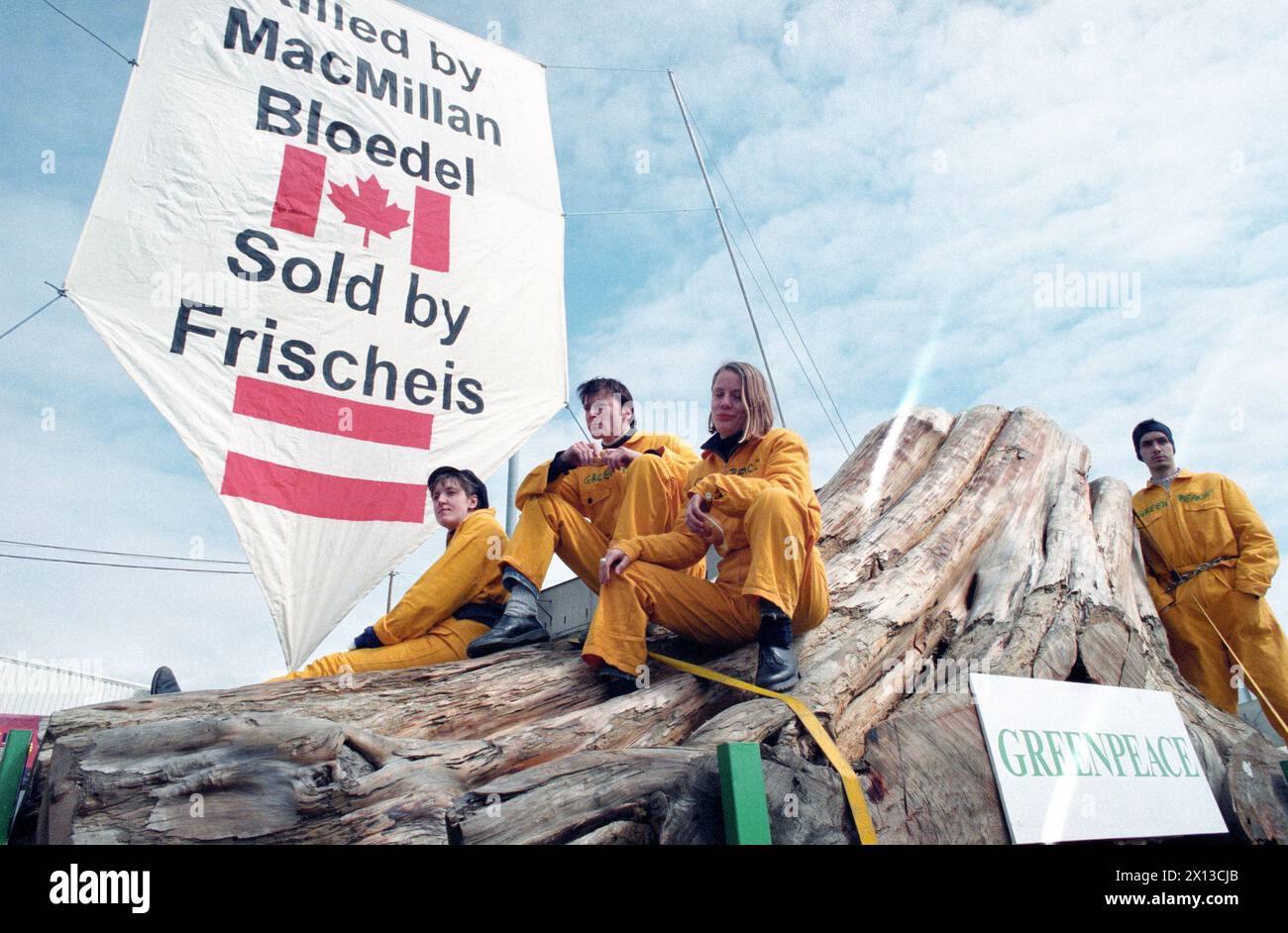 Stockerau on April 19th 1994: About 20 activists of Greenpeace chained up at the gates of J & A Freischeis and obstructed the access of the Lower Austrian timber merchant. - 19940419 PD0004 - Rechteinfo: Rights Managed (RM) Stock Photo