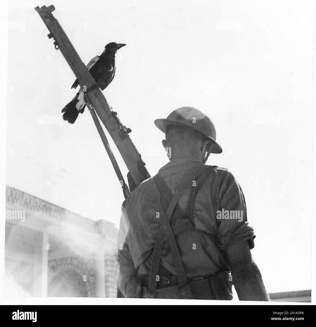 THE BRITISH ARMY IN NORTH AFRICA AND THE MIDDLE EAST 19401947