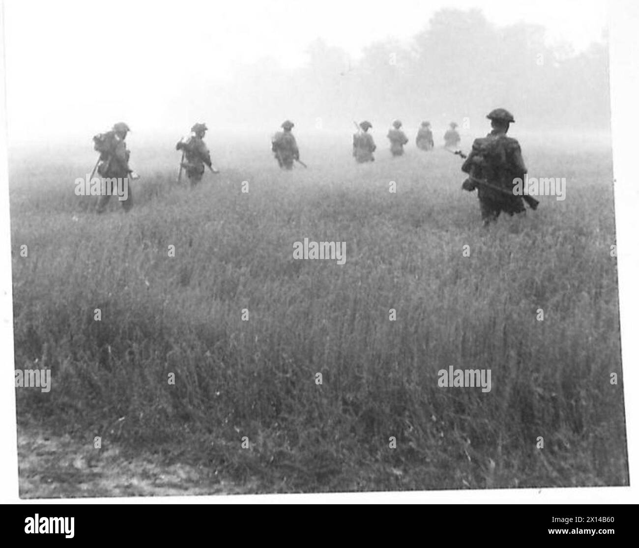 BRITISH ATTACK IN FRANCE - Men of the 7 Seaforth Highlanders, 15 Division, passing through a cornfield British Army, 21st Army Group Stock Photo