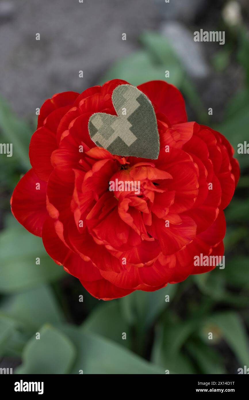 large red flower and heart cut from camouflage military fabric. Stop the war. With love and gratitude to the soldiers of the Armed Forces. symbol of m Stock Photo
