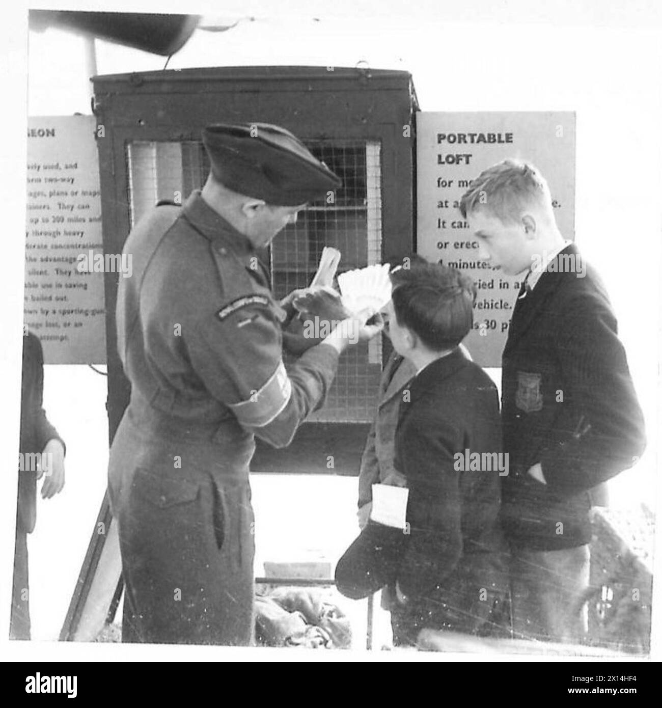 Carrier pigeon army signal corps Black and White Stock Photos & Images ...