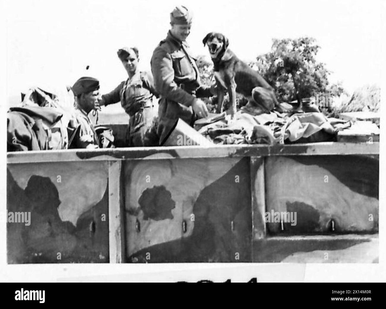 Operation Stallion Blackie the horse Black and White Stock Photos & Images - Alamy
