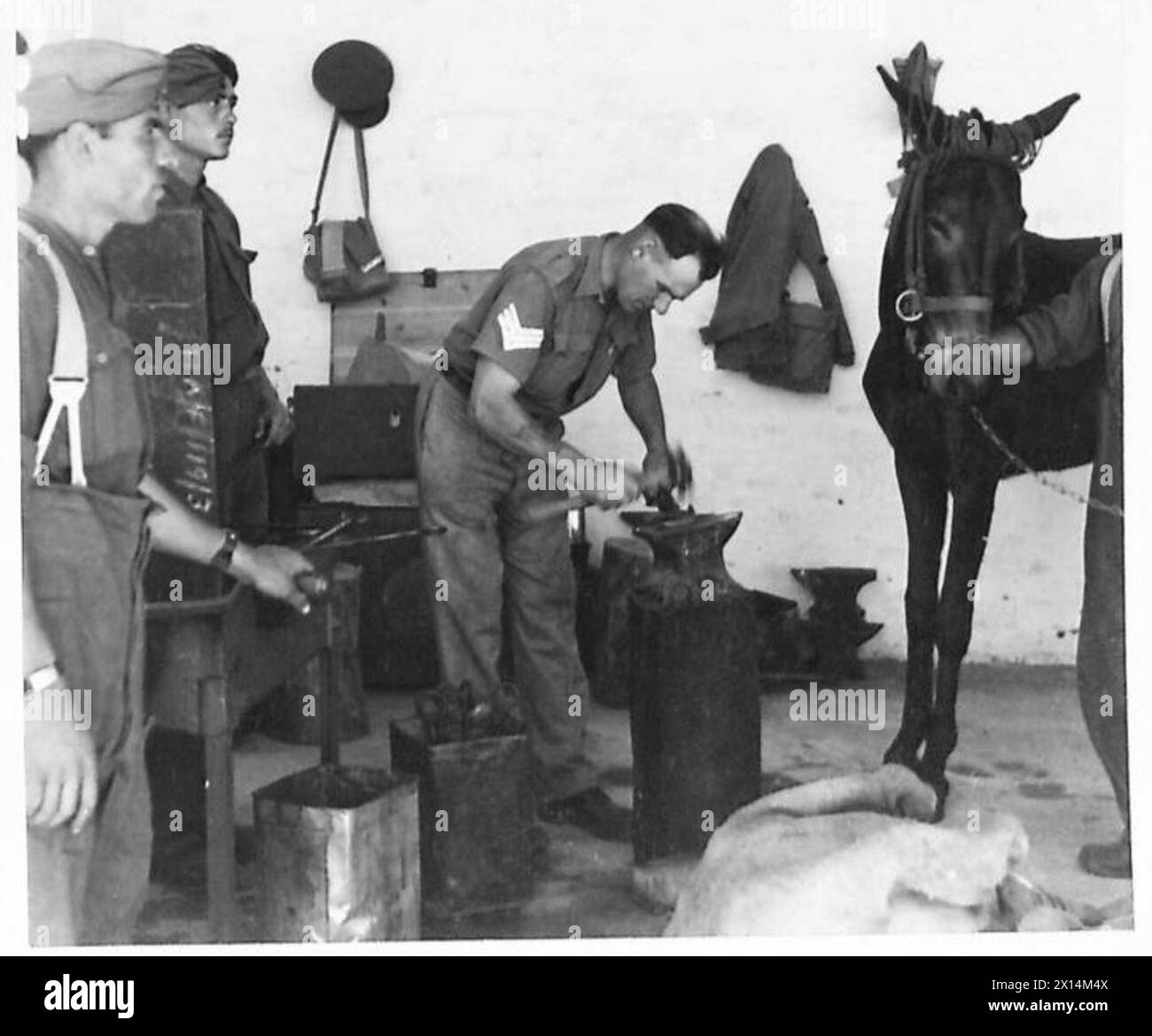 Soldiers and animals Black and White Stock Photos & Images - Alamy