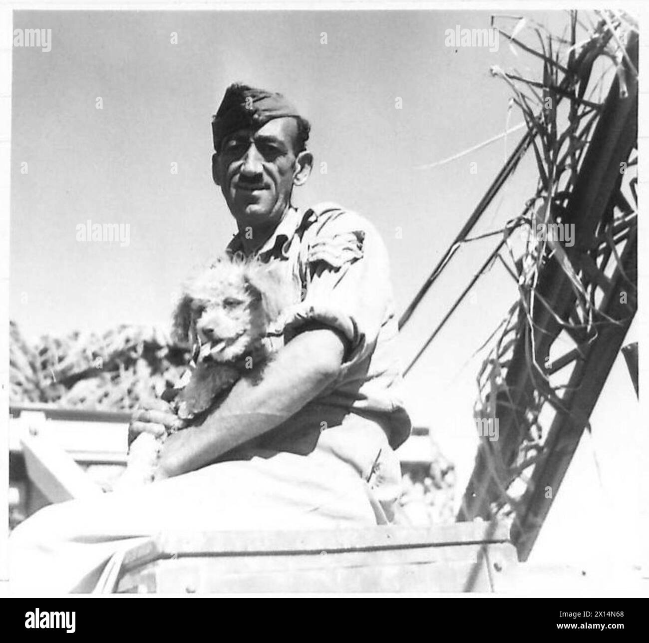 EIGHTH ARMY : GREEK R.E.M.E.WORKSHOPS - 'Hitler' the pet puppy of the unit. Sgt. S. Tomalanis of Hios amuses the dog while he waits with his breakdown lorry for a call British Army Stock Photo