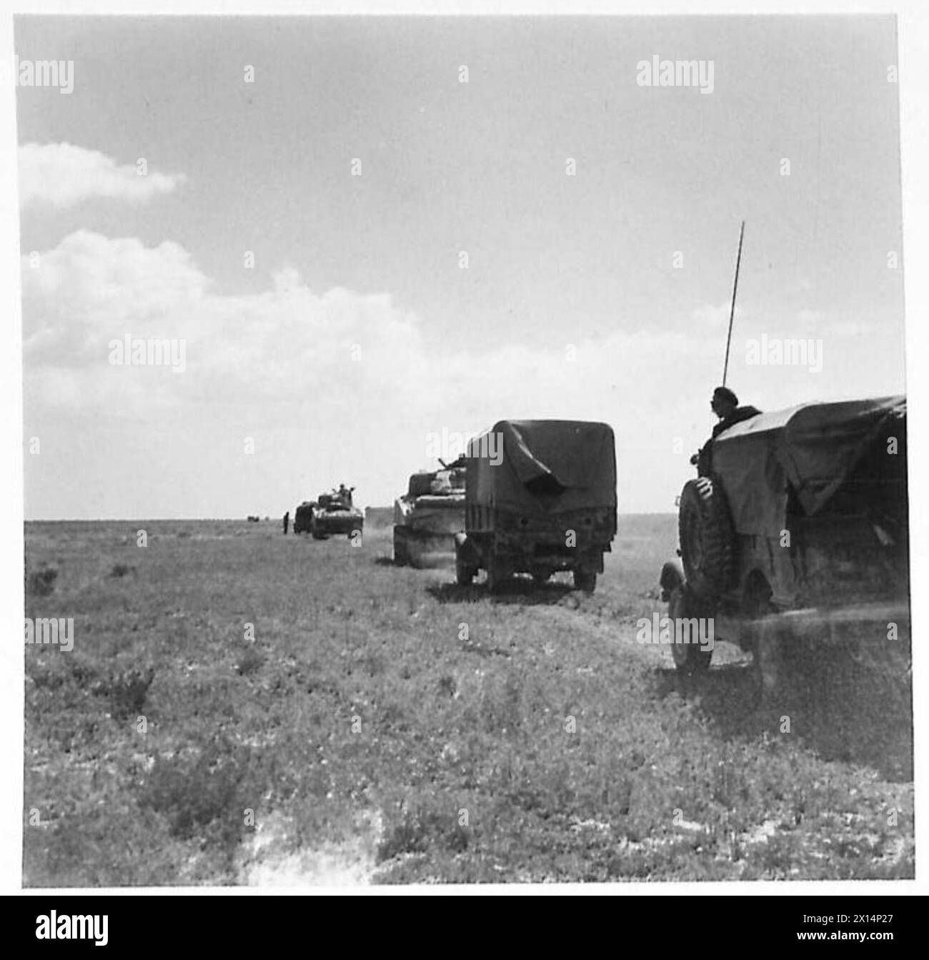 FIRST ARMY : JOINT ATTACK ON PICHON - Tanks and transport pressing on over the Plains of Kairouan, South-East of Fonsouk British Army Stock Photo