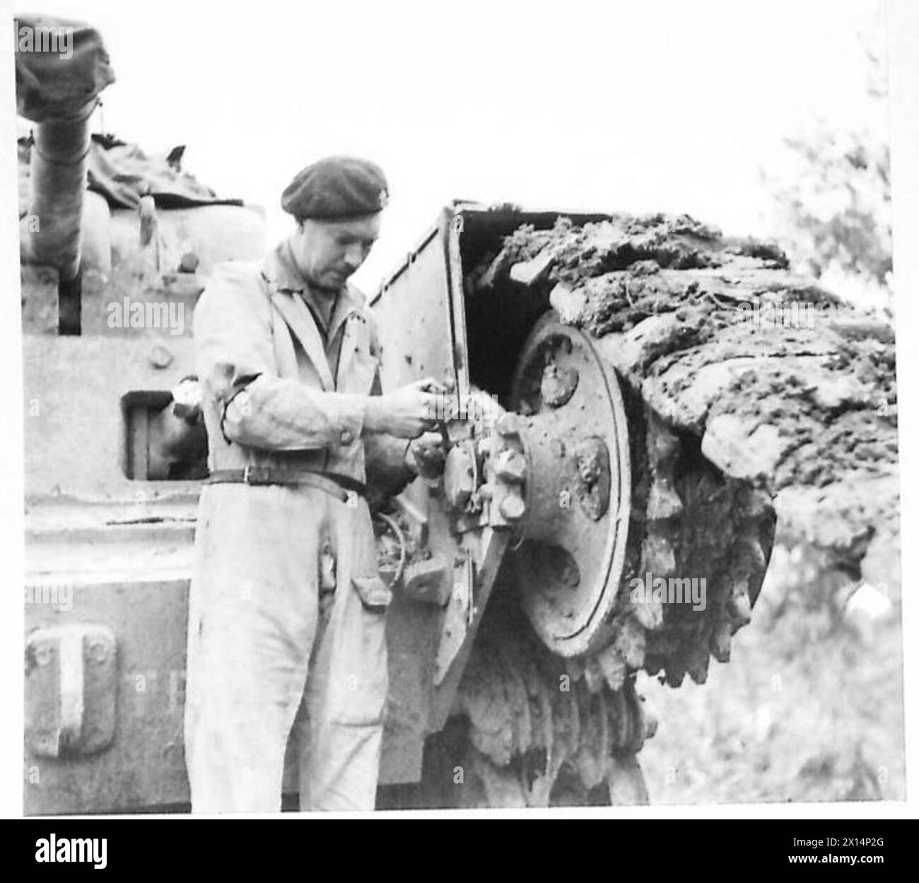 EIGHTH ARMY : AFTER THE RAINS - Sgt. Williams of Firswood, Manchester, 16, the tank commander, lossens the front idler wheel to give sufficient slack for the track to be rejoined British Army Stock Photo