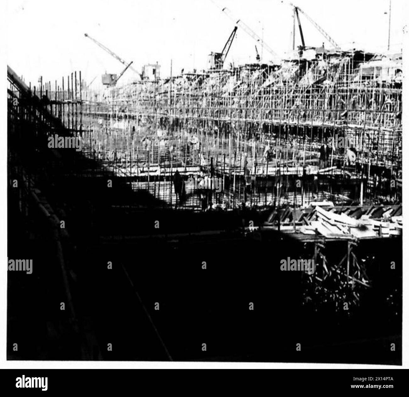 SPECIAL FOR TN.5PHOENIX CONTRACTS Same Dock Type A.1 by Balfour