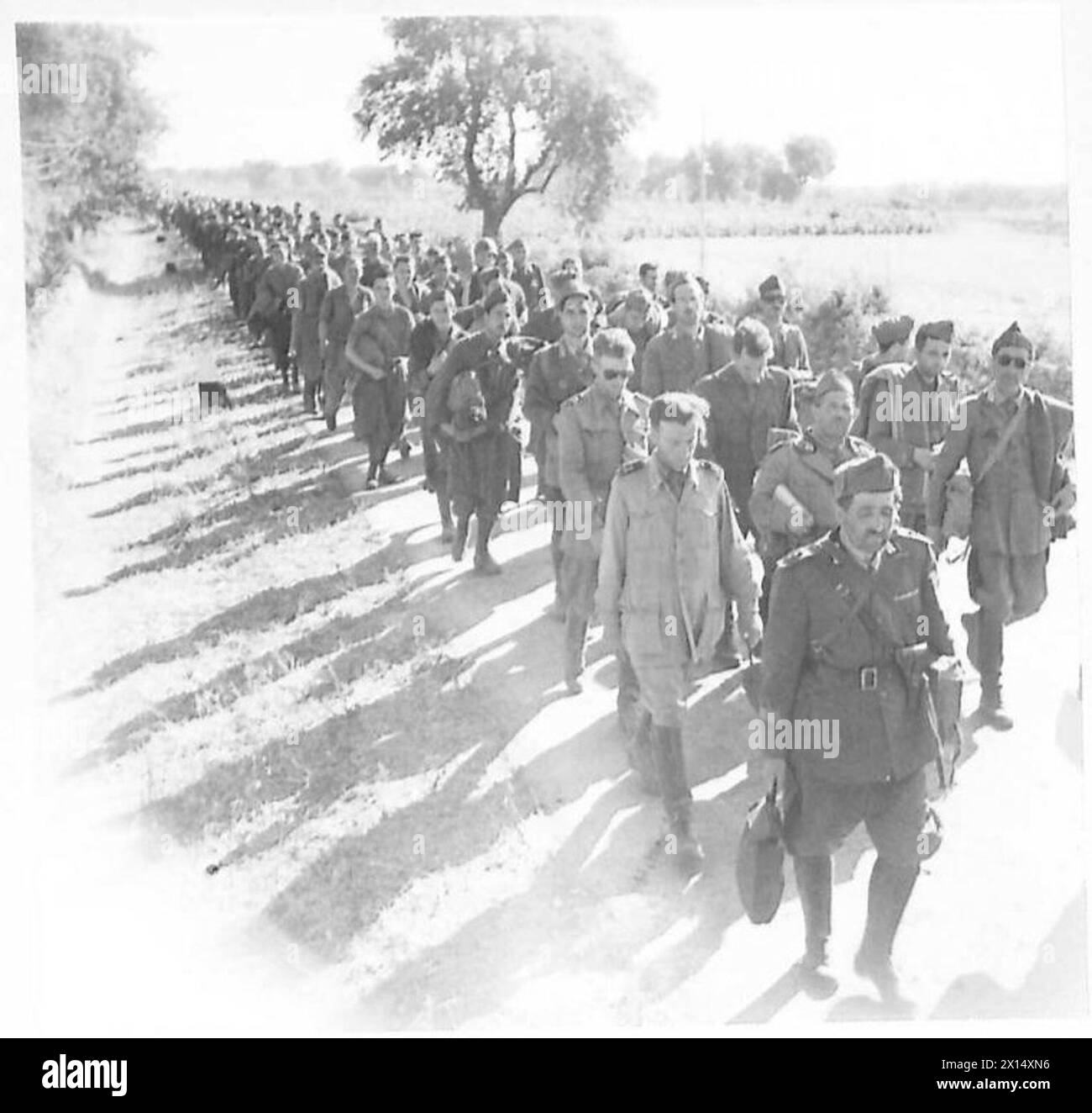 A large column of prisoners is marched through country lanes by the ...