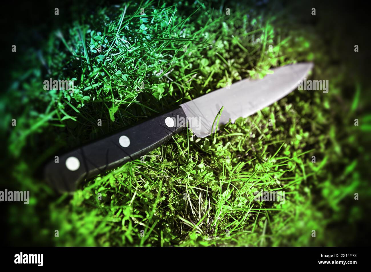 Knife Lying On Lawn, Symbolic Photo Crime Stock Photo