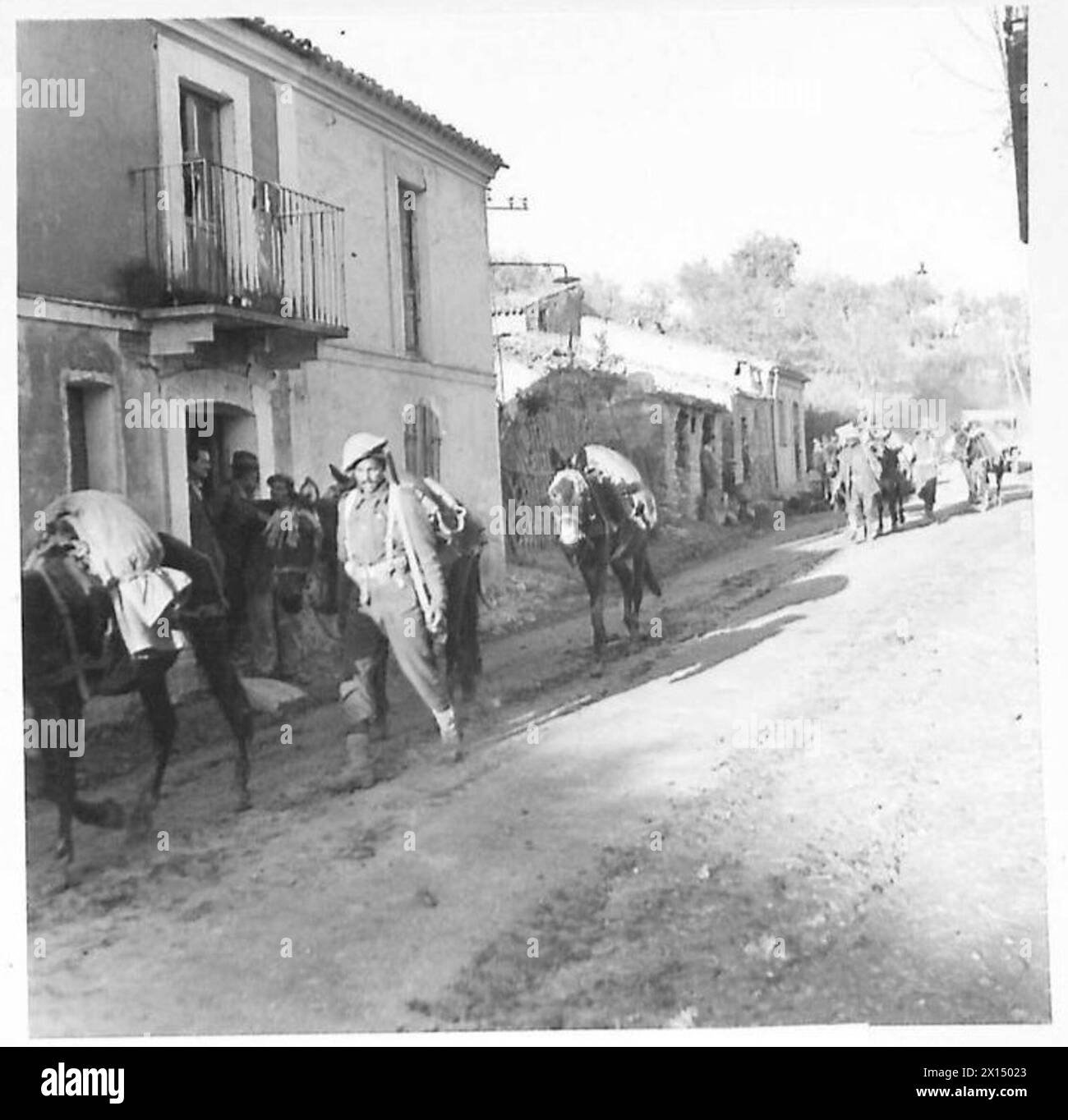 ITALY : EIGHTH ARMYHOLDING THE SANGRO BRIDGEHEAD - A mule train carrying supplies through Paglieta. These mules have played a great part in bringing forward supplies for the troops in this area British Army Stock Photo