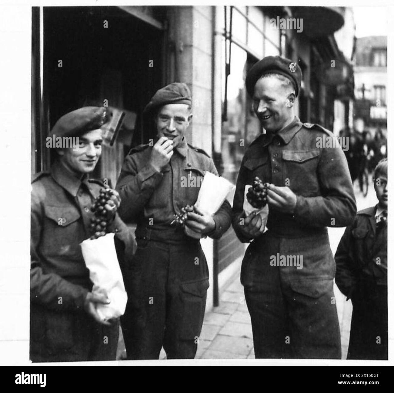 LIFE IN LIBERATED BELGIUM - L-R: Pte Dyke, G. of Hitchin; Pte Hendrick, W of Worthing and Pte. Bant, J of Smethwick, Birmingham, all of the 2nd Essex Regt., enjoy grapes which are so cheap and plentiful over here, whilst resting from front line duty British Army, 21st Army Group Stock Photo