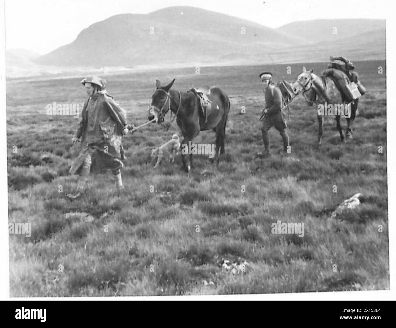 MOUNTAIN WARFARE EXERCISE An umpire makes his way across the