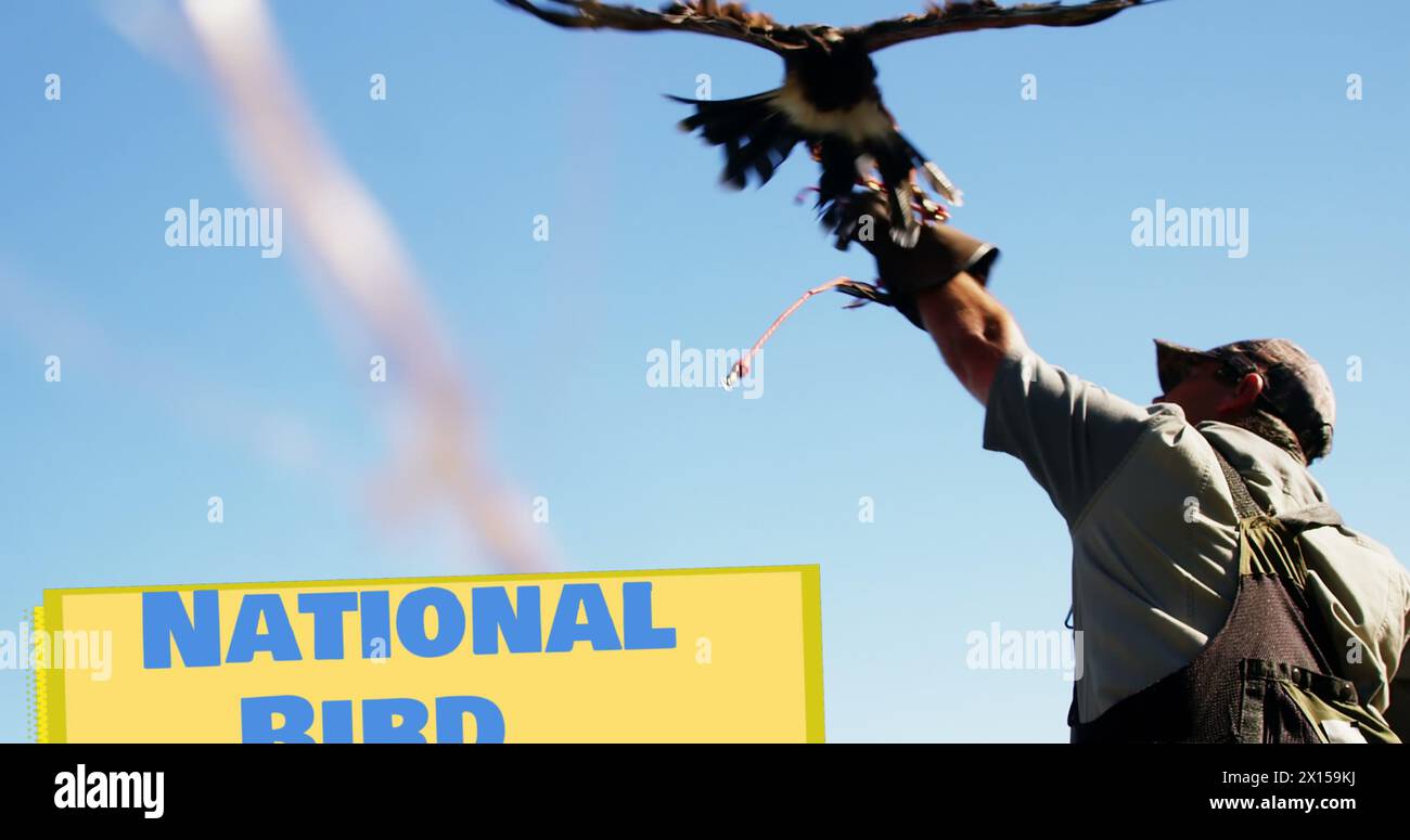 Image of national bird day over man with bird of prey Stock Photo