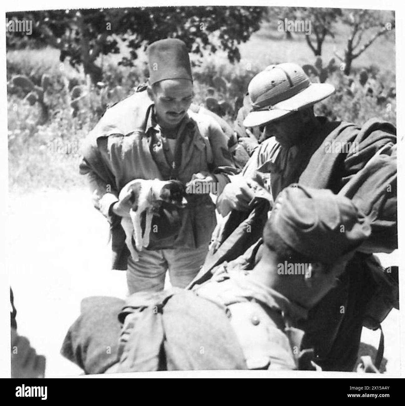 An Italian sergeant brought his dog while being held as a prisoner of ...