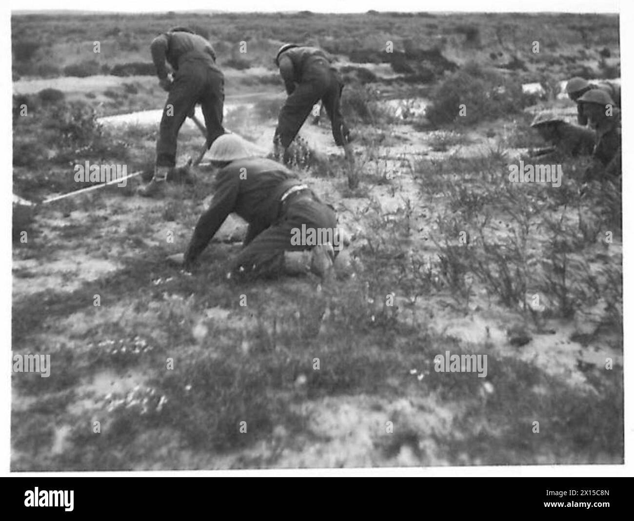 Eighth Army engineers dig holes for explosives to prepare for an attack on the Mareth Line in British Army operations. Stock Photo