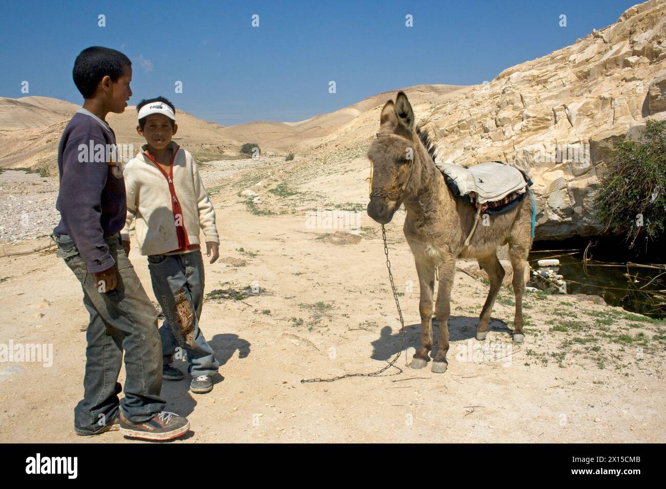 Bedouin children with a donkey in the Judean desert Stock Photo
