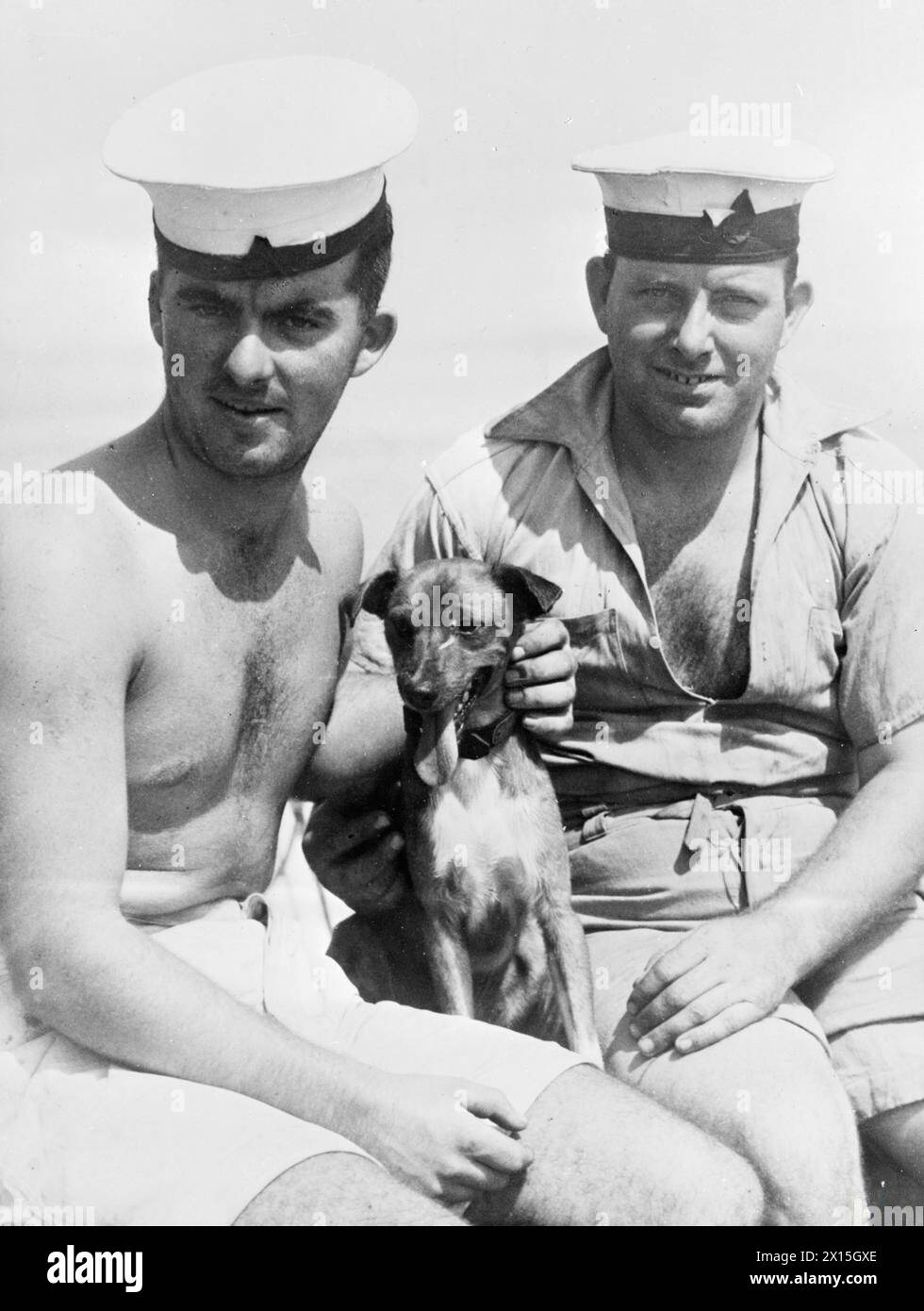 RESCUED DOG BECOMES NAVAL SLOOPS MASCOT. FEBRUARY 1944, ON BOARD HMS ...