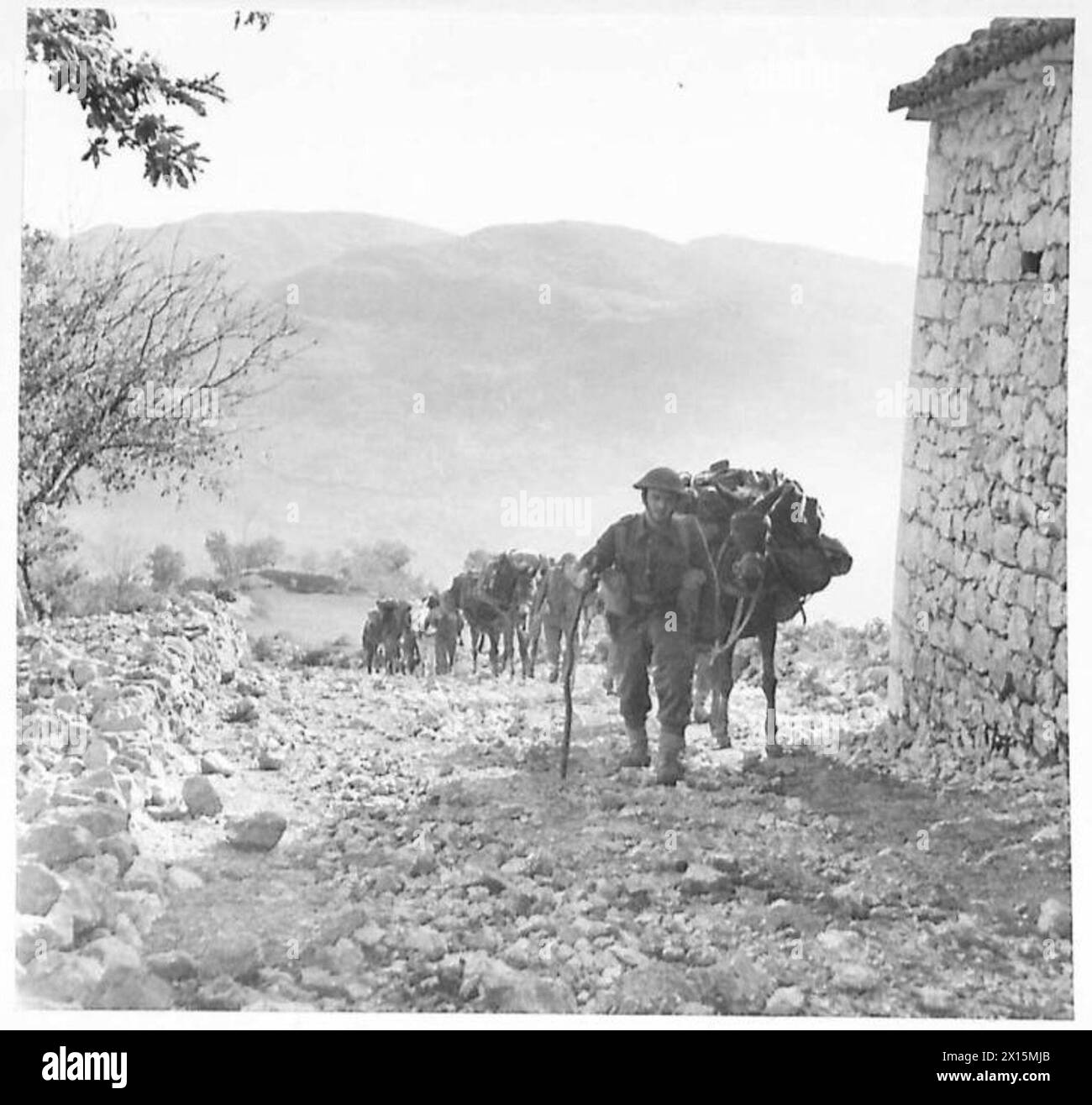 ITALY EIGHTH ARMY'OF MOUNTAINS AND MEN' All supplies have to be
