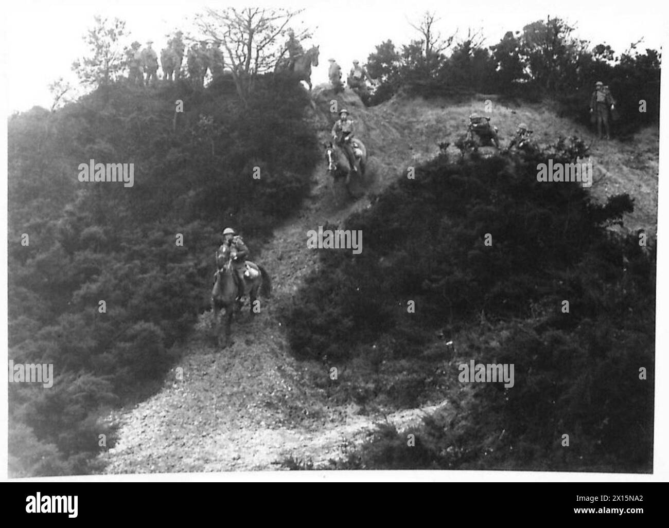 ANIMAL TRANSPORT Caesar's Camp, Aldershot British Army Stock Photo