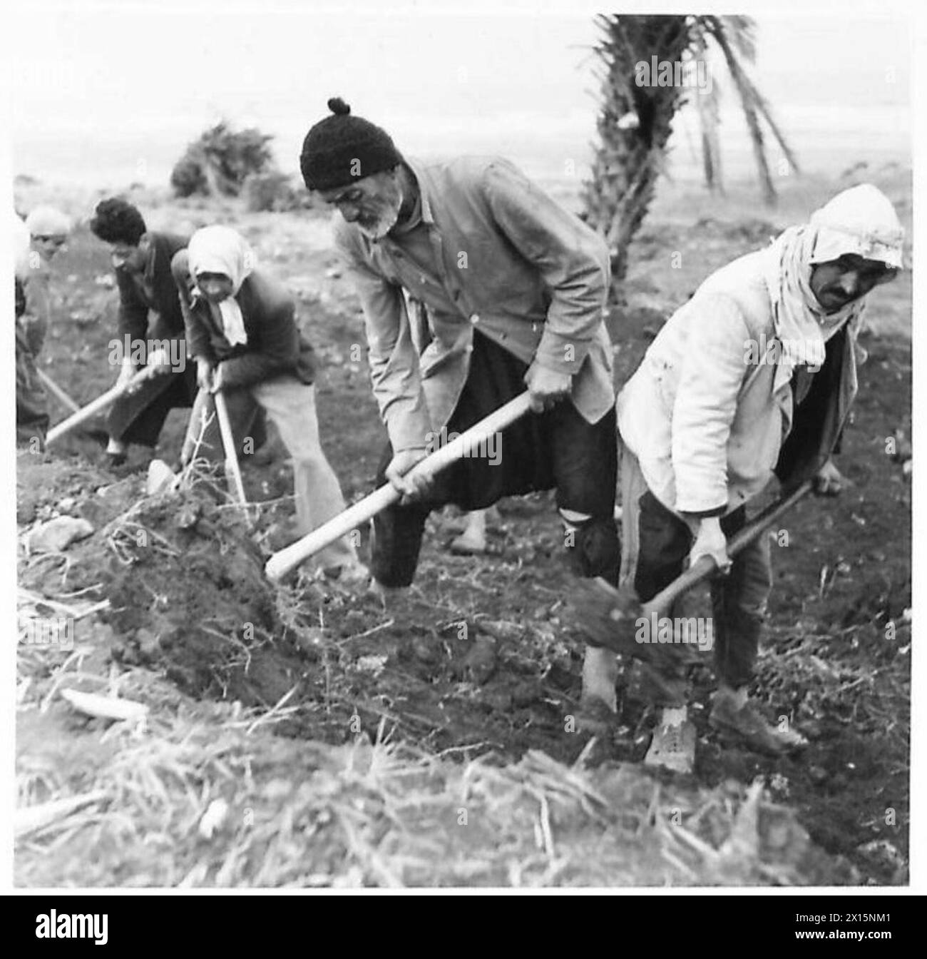 BUILDING THE HAIFA-TRIPOLI RAILWAY - Local Arabs seen working, clearing ...