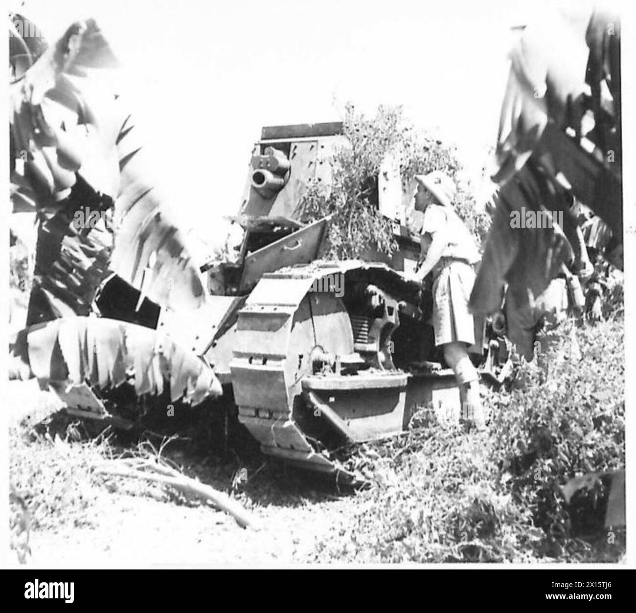 British advance into syria a captured vichy french tank british