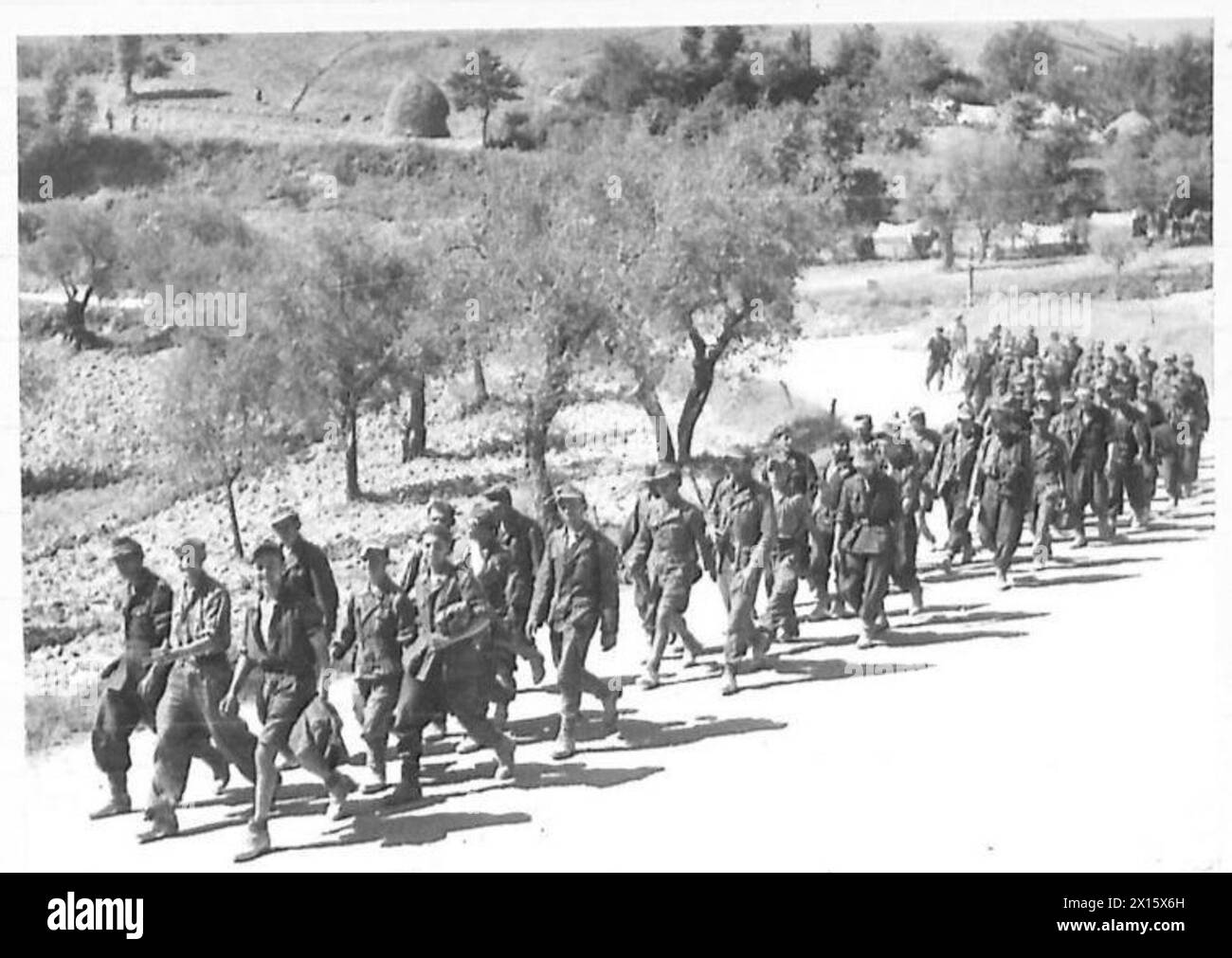 During the Gothic Line Offensive, the Eighth Army marches 100 German prisoners from the 117th Infantry Regiment to a POW cage, with a total of 800 captured that day. Stock Photo