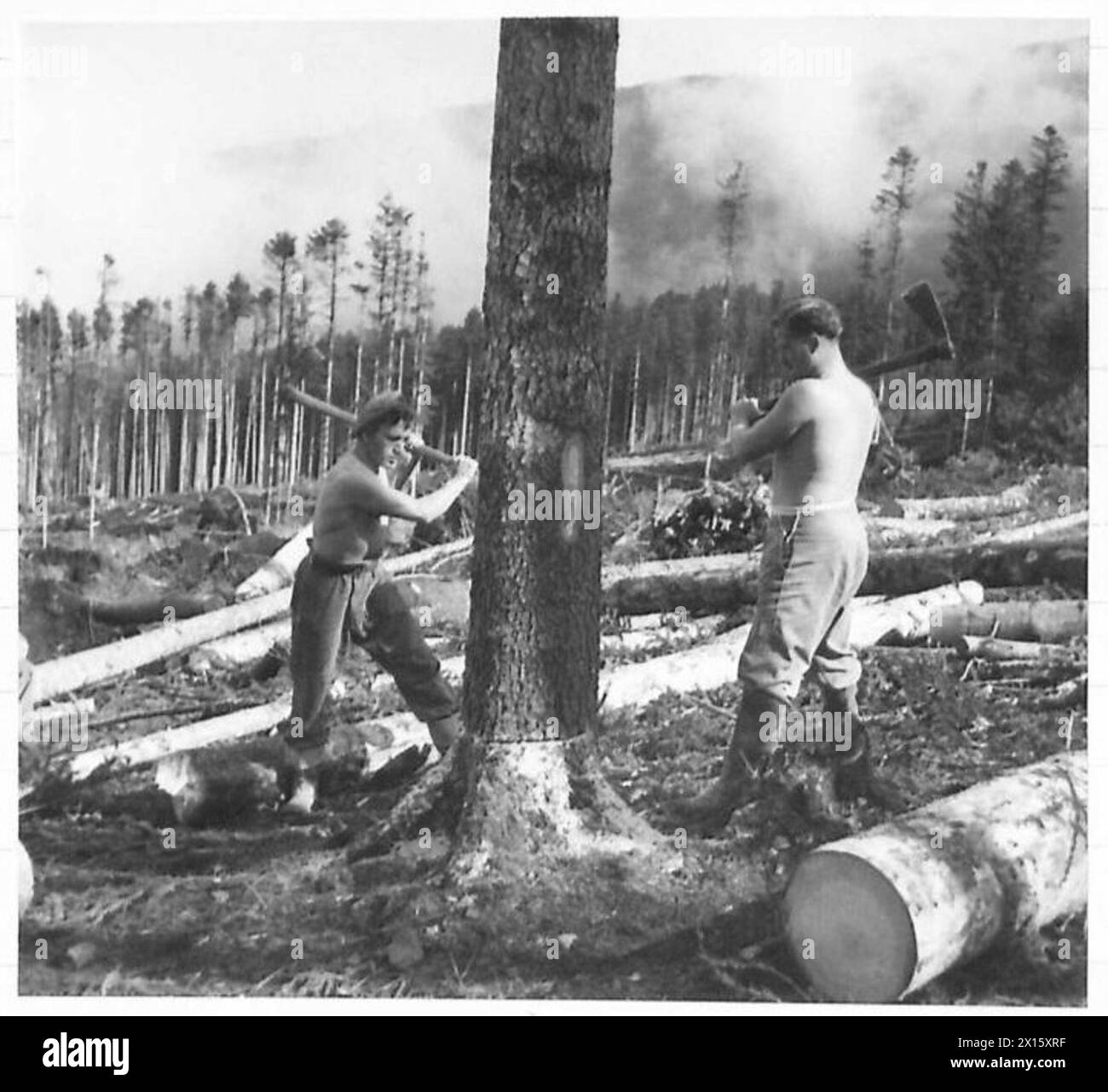 german-demolitions-in-italy-the-italian-state-forest-at-vallombrosa
