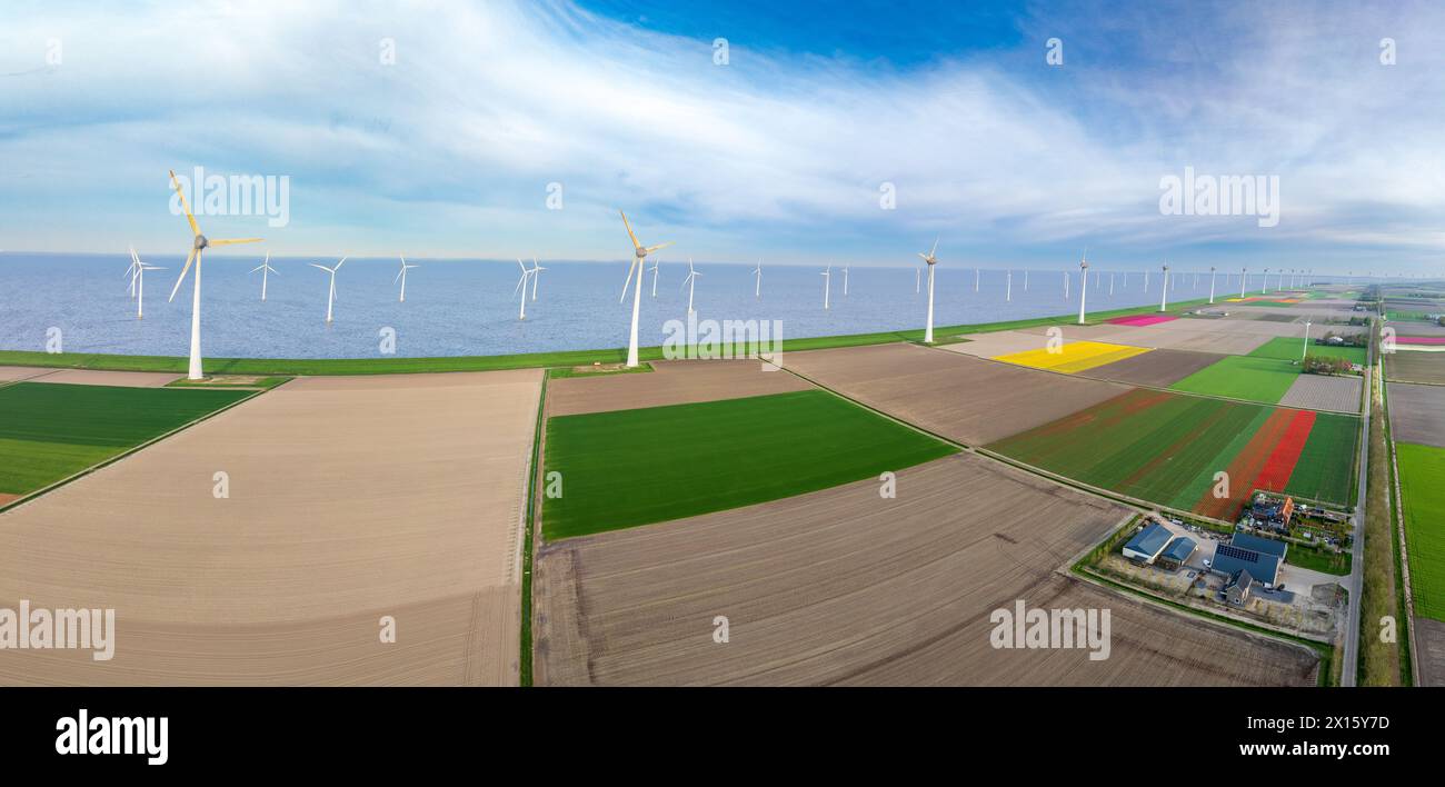 aerial view of a beautiful landscape filled with colorful tulips and wind turbines Stock Photo