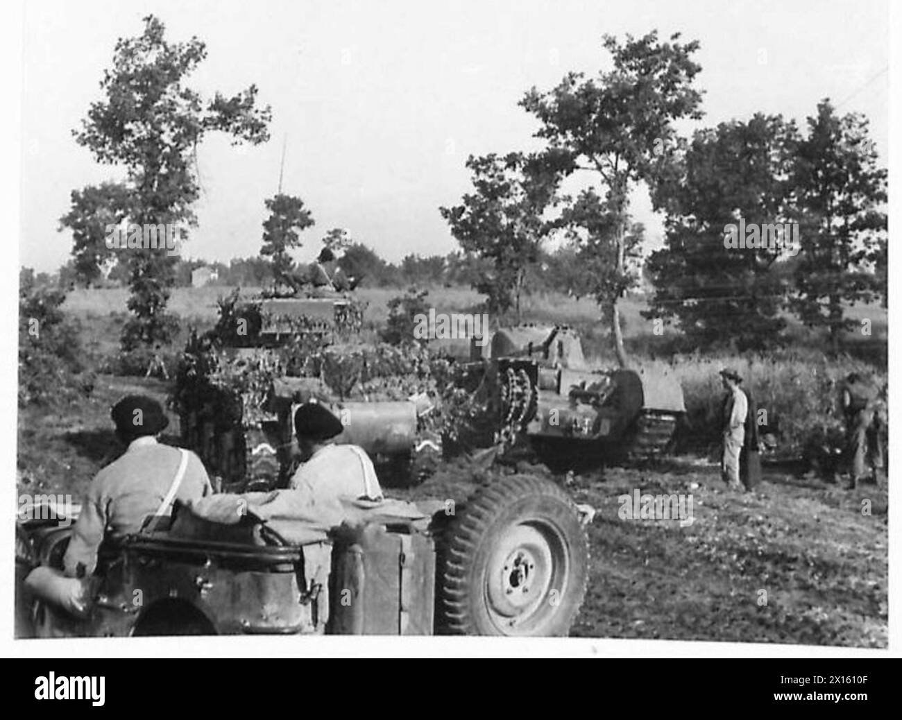 Tanks of the Eighth Army advance through a mined wooded area near Aquino during the breakthrough of the Hitler Line. Stock Photo