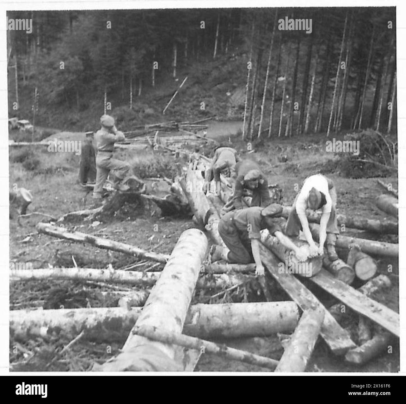 german-demolitions-in-italy-the-italian-state-forest-at-vallombrosa