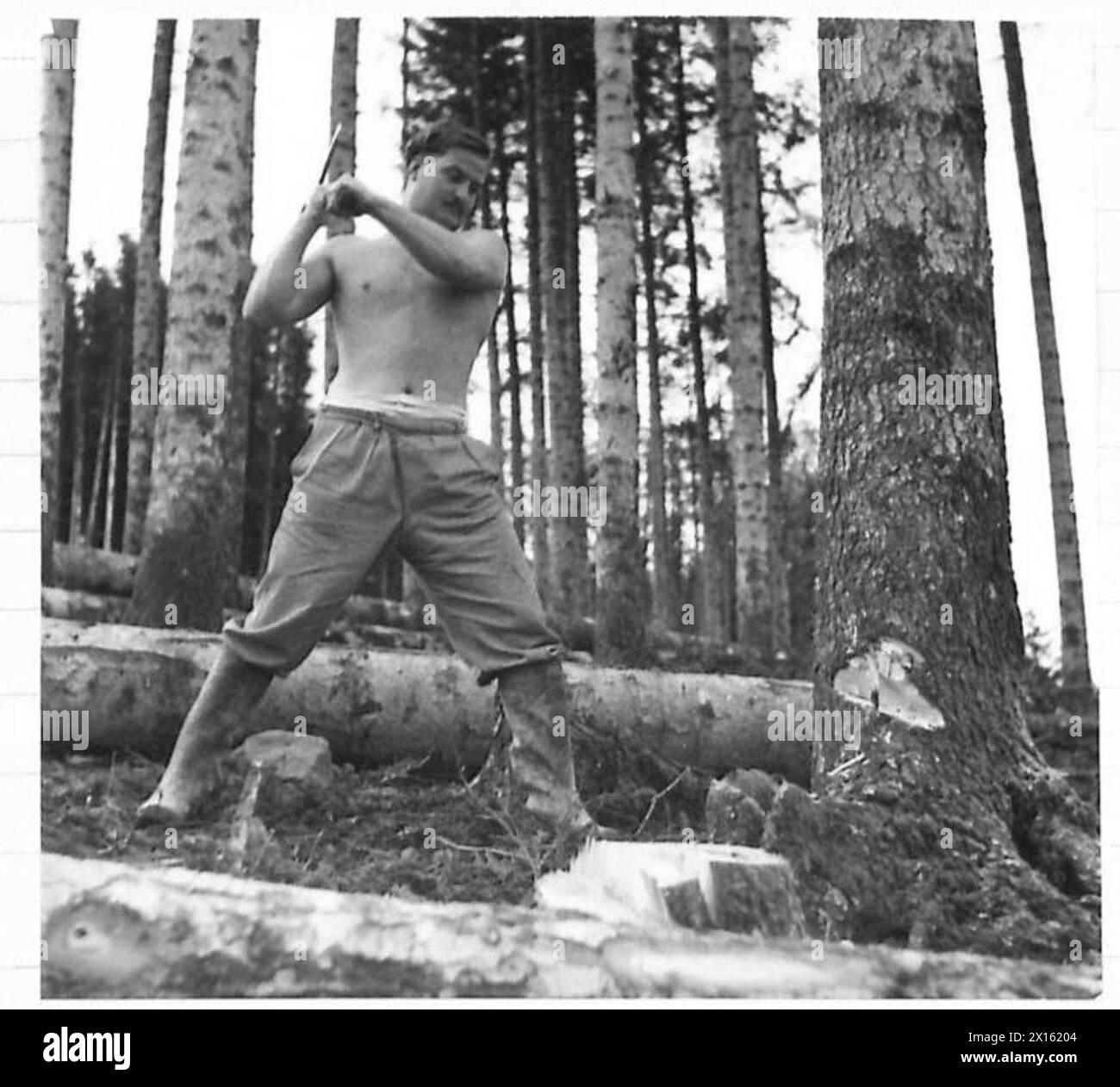 german-demolitions-in-italy-the-italian-state-forest-at-vallombrosa