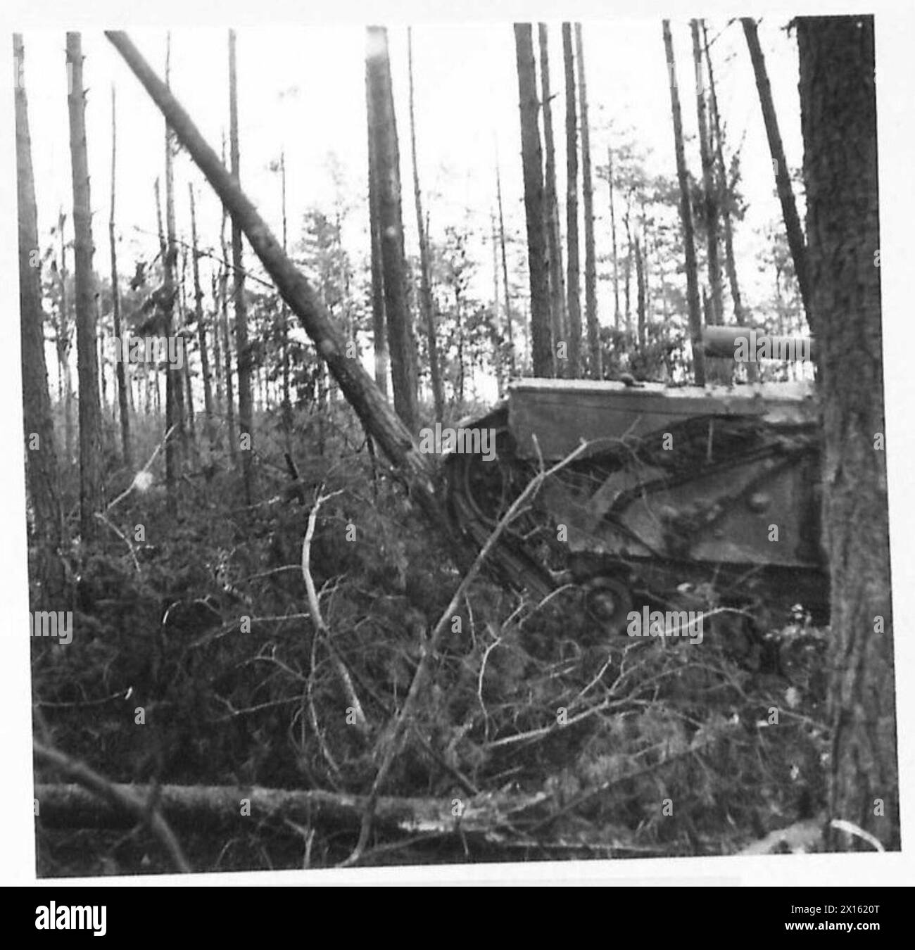 BRITISH TANKS IN NW EUROPE 1944-45 - A Churchill tank of 147th Regiment, Royal Armoured Corps, part of 34th Army Tank Brigade, in the Reichswald, Germany, 11 February 1945 Stock Photo