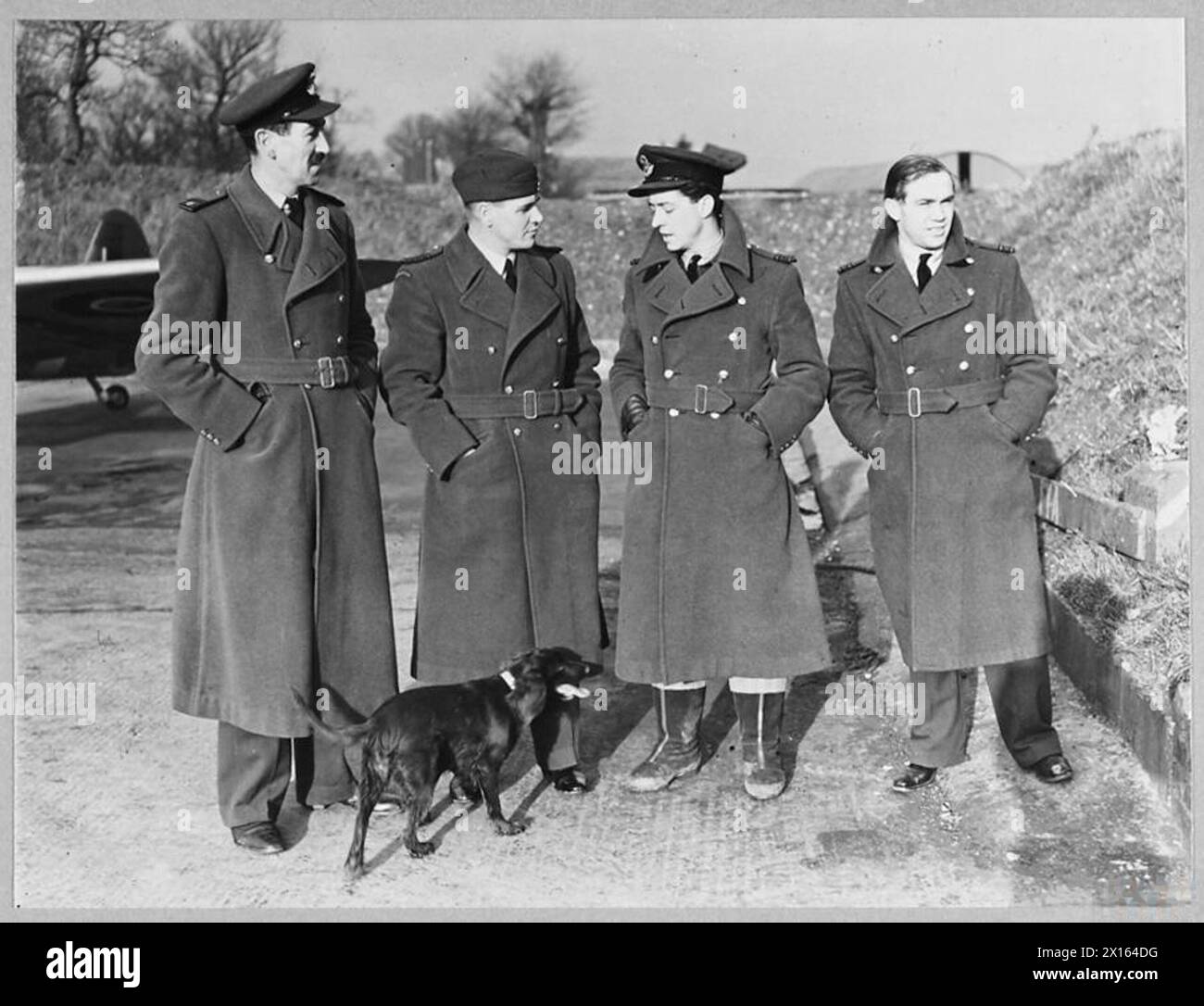 BRITAIN'S ACE FIGHTER PILOT TAKES OVER COMMANDOF A CRACK FIGHTER STATION - 8103 Left to right - [The Station Intelligence officer] - S/Ldr. de la Torre, Group Captain A.G. Malan, S/Ldr. A.R. Miline, DFC & Bar., S/Ldr. W.A.K. Igoe Royal Air Force Stock Photo