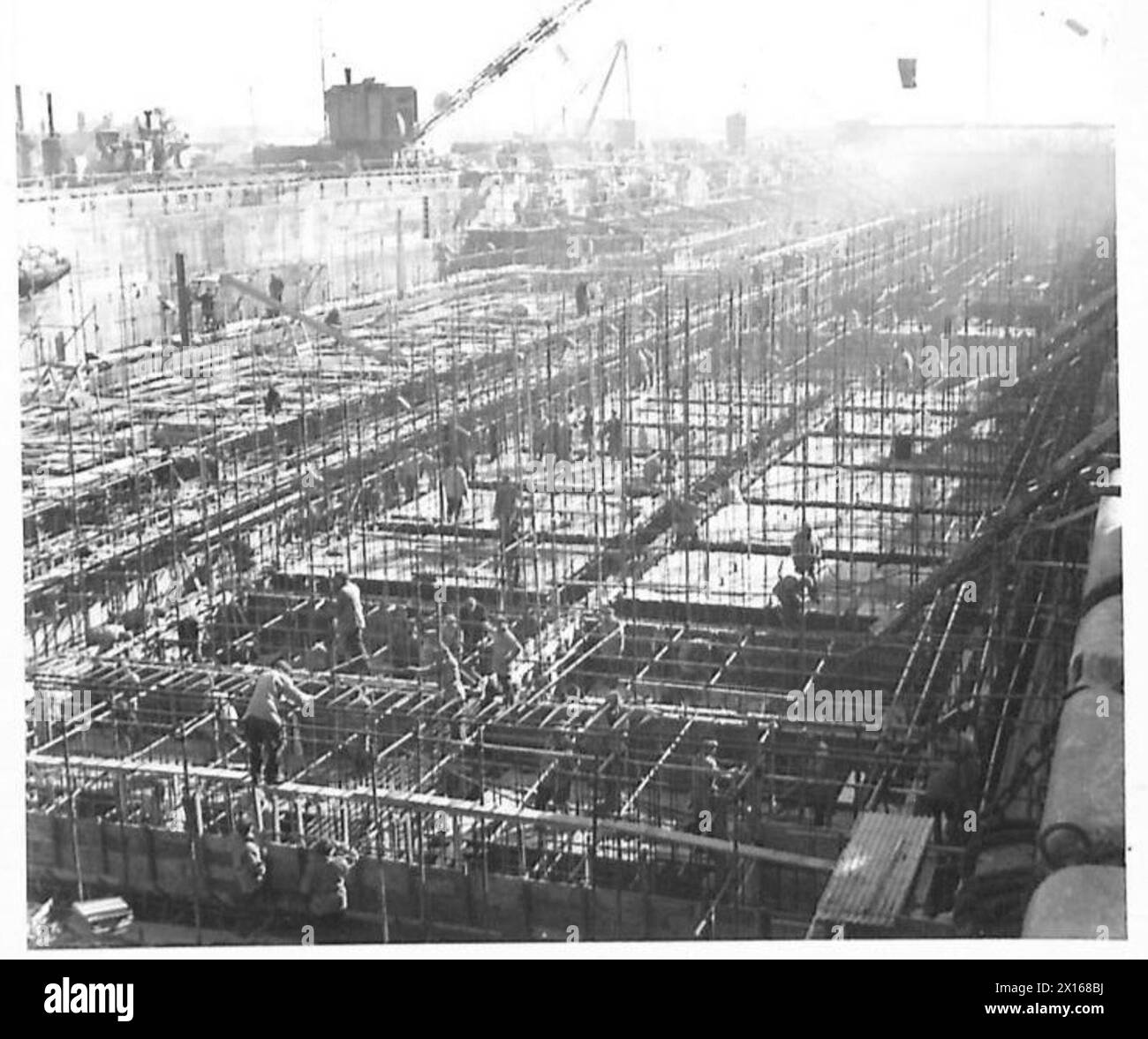 SPECIAL FOR TN.5PHOENIX CONTRACTS Same dock Type A.1 by Balfour