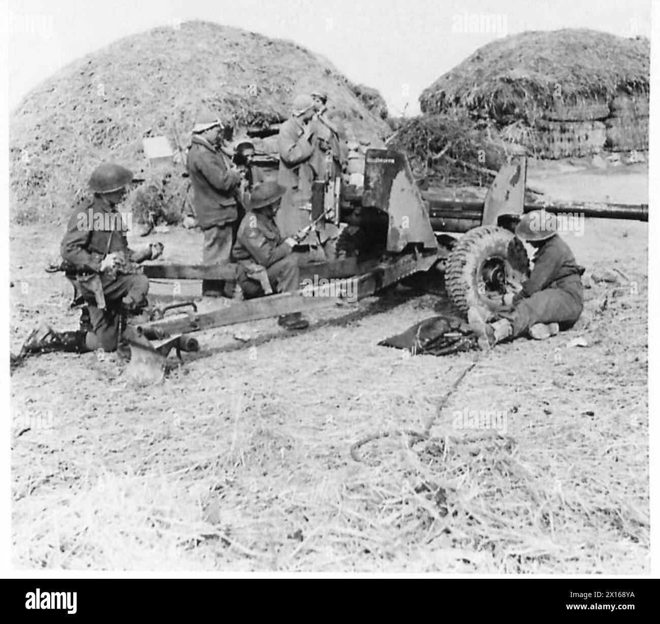 THE BRITISH ARMY IN THE TUNISIA CAMPAIGN, NOVEMBER 1942-MAY 1943 - The gun crew of the 255th Battery, Royal Artillery setting up a six pounder anti-tank gun in the hills near Medjez el Bab, 31 December 1942. Note Arab spectators with their children looking at the gunners' work British Army, British Army, 1st Army, British Army, Royal Artillery Stock Photo