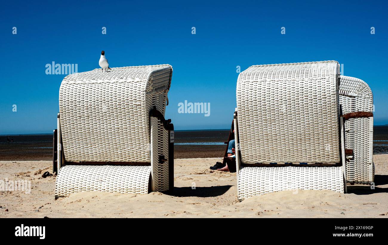 Die Möwe auf dem Strandkorb Stock Photo