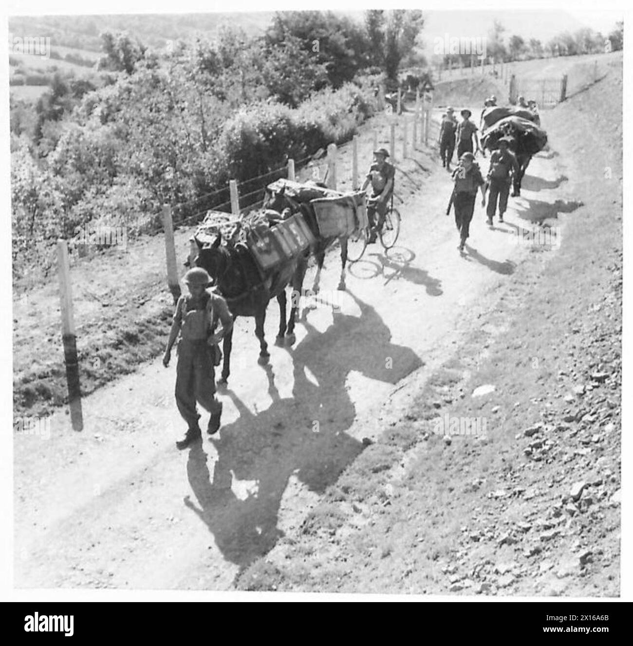 PACK ANIMALS GO WHERE LORRIES CANNOT - The train of pack animals