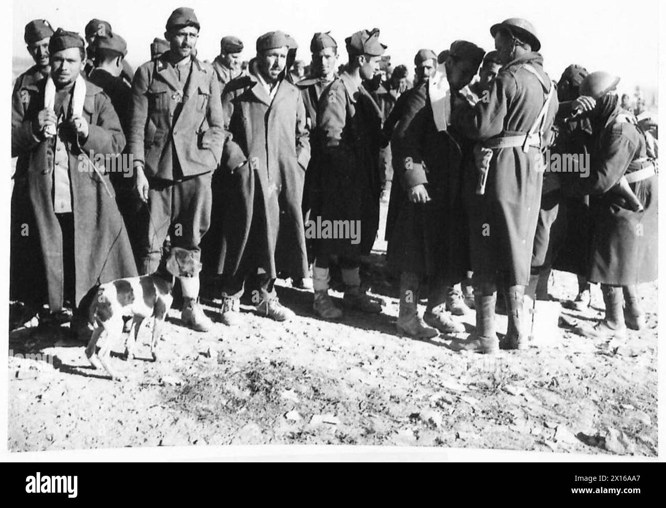 THE FALL OF TOBRUK - British troops searching Italian prisoners ...