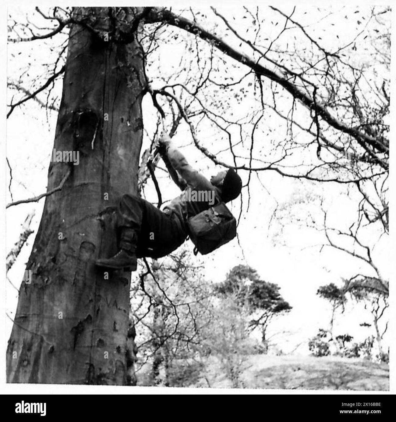 ROCK CLIMBING Wireless communication from tree tops. A young soldier