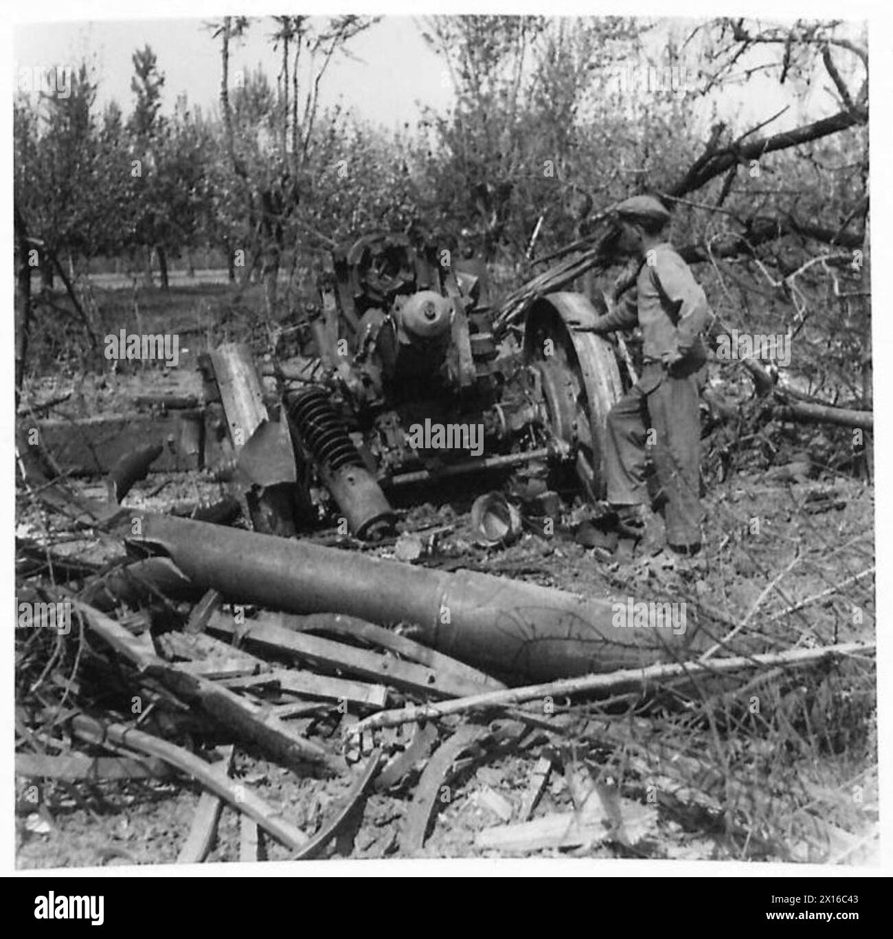 THE BRITISH ARMY IN NORTH AFRICA, SICILY, ITALY, THE BALKANS AND ...