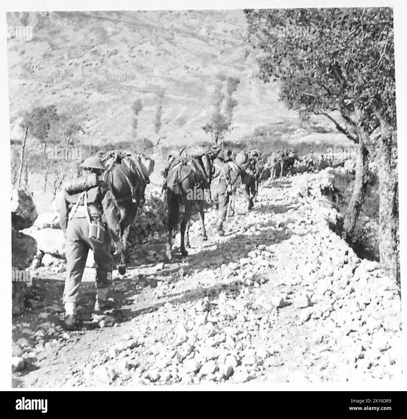 ITALY EIGHTH ARMY'OF MOUNTAINS AND MEN' All supplies have to be