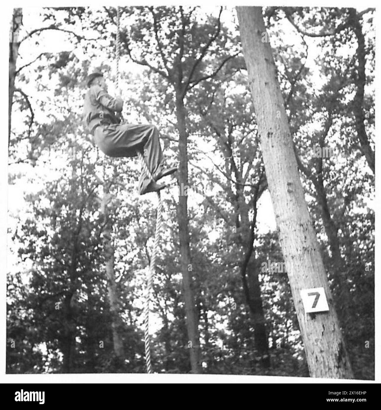 Participants on the War Office Selection Board perform rope climbing as ...