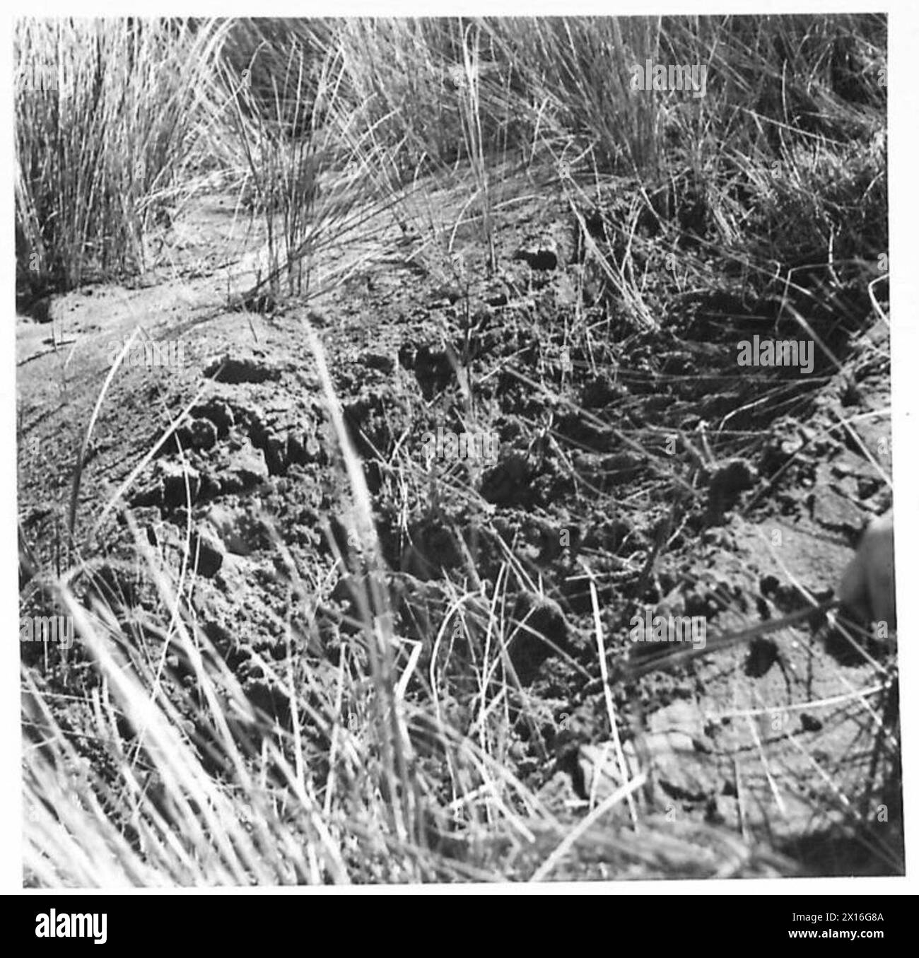 British Army conducts experiments with tanks to test design ...