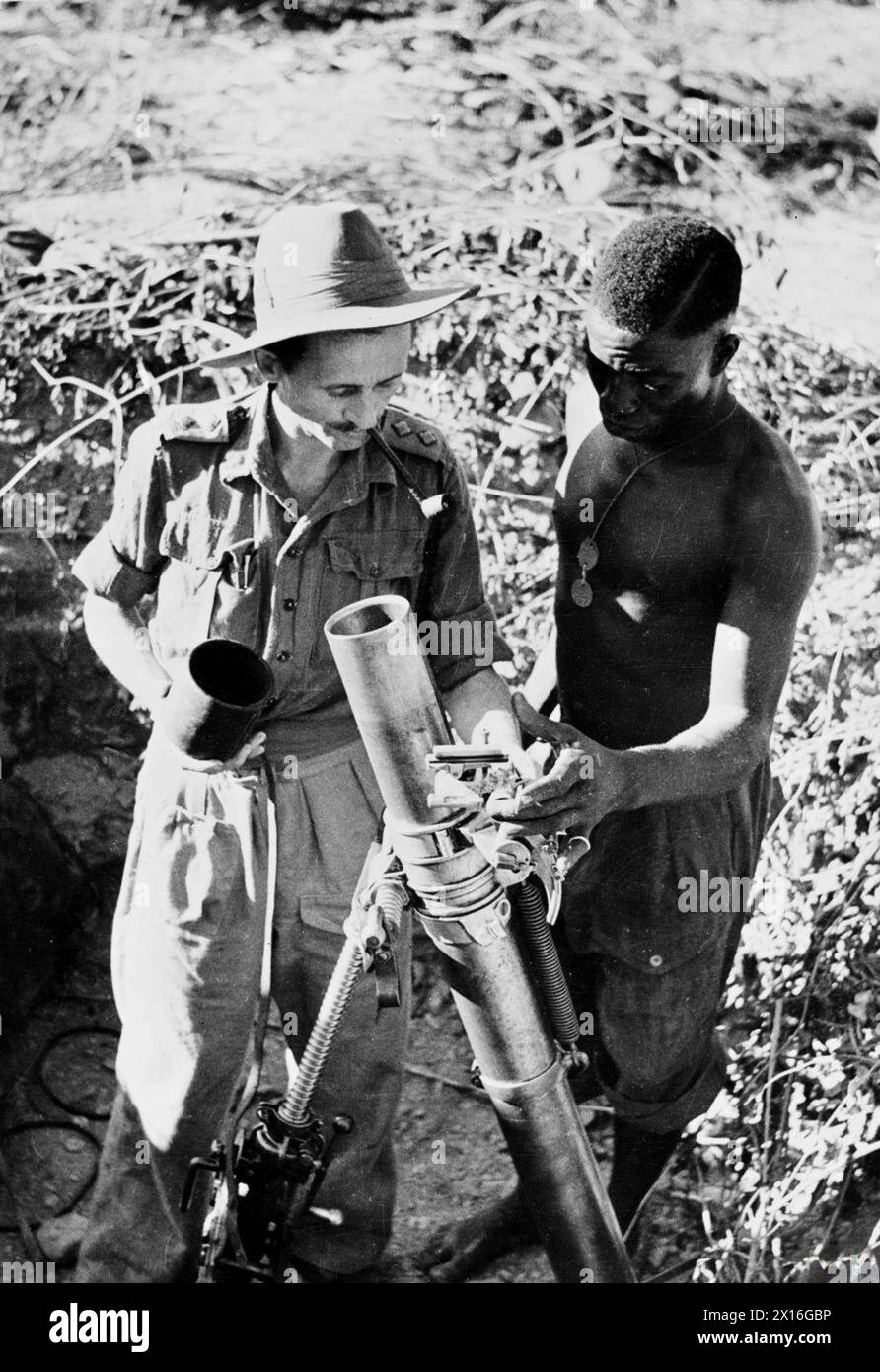 POLISH OFFICERS IN THE ROYAL WEST AFRICAN FRONTIER FORCE - Lieutenant Wiesław Bulkowski (or Bułkowski), Mortar Platoon of the 1st Battalion, the Gambia Regiment (6st West African Infantry Brigade, 81st West African Division) instructing a native soldier on the use of a mortar during the Third Arakan Campaign, January 1945.He was a Polish cavalry officer seconded to the RWAFF Polish Army, Royal West African Frontier Force, Royal West African Frontier Force, 81st West African Division, Royal West African Frontier Force, 81st West African Division, 6th West African Brigade, Gambia Regiment, 1st B Stock Photo