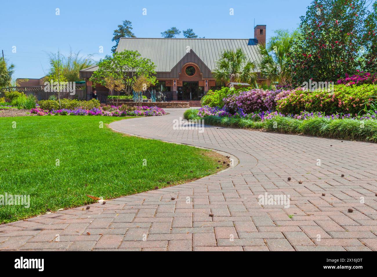 Mercer Arboretum and Botanical Gardens in Spring, Texas Stock Photo - Alamy