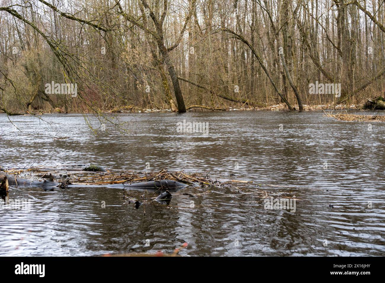 Spring flood on the river Stock Photo - Alamy