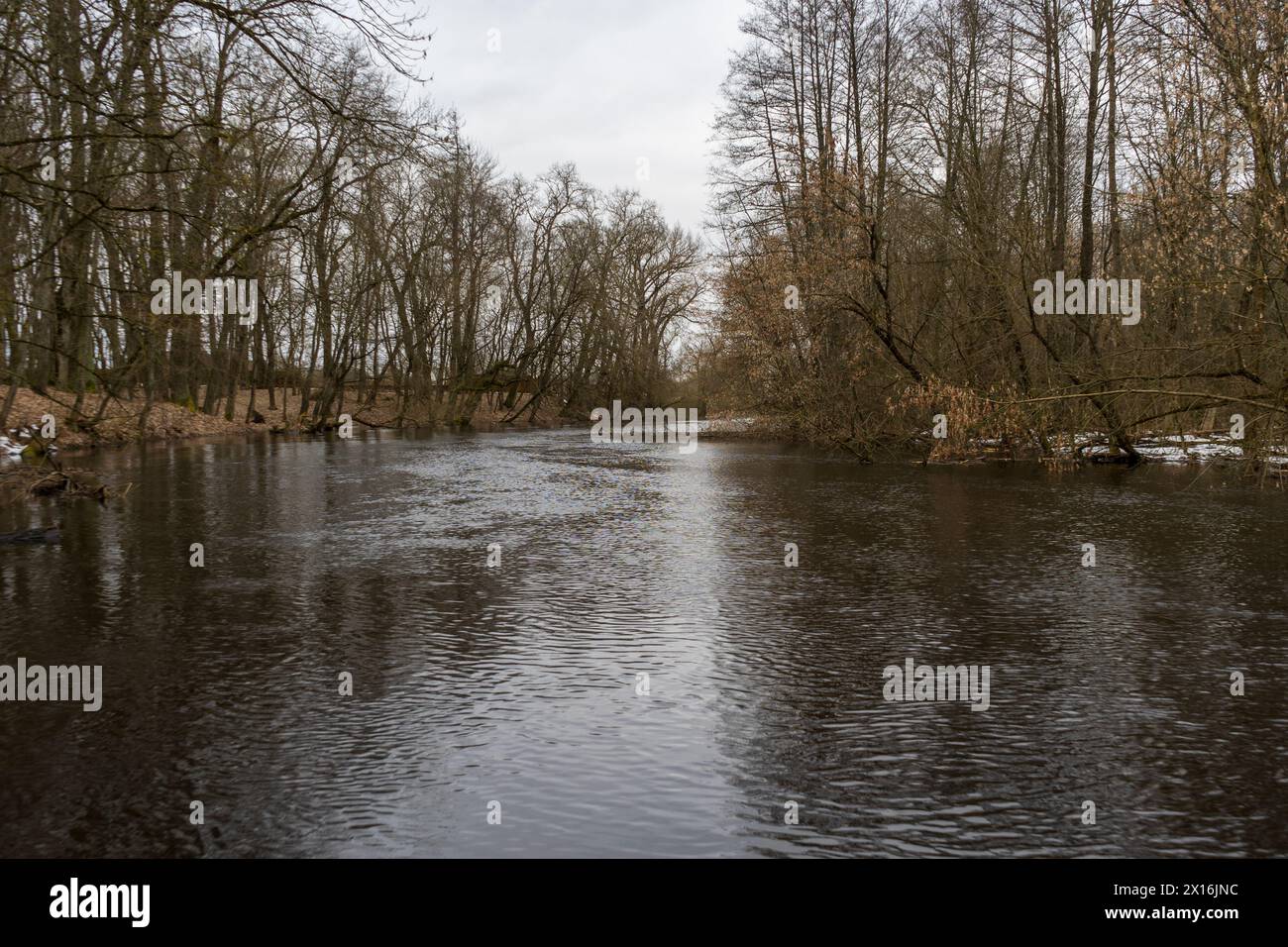 Spring flood on the river Stock Photo - Alamy