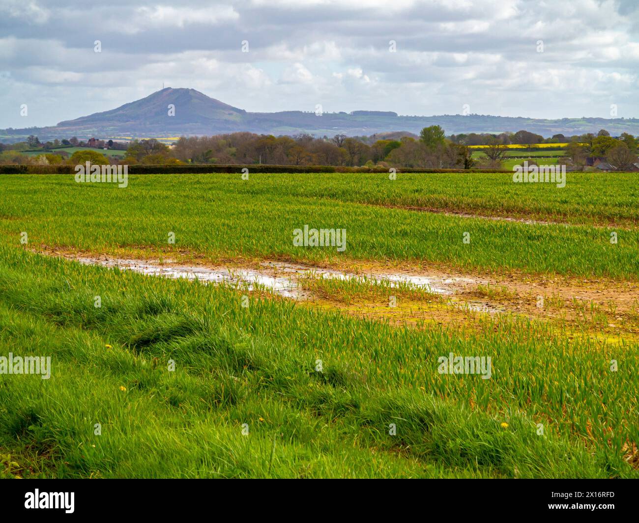 Wet fields uk hires stock photography and images Alamy