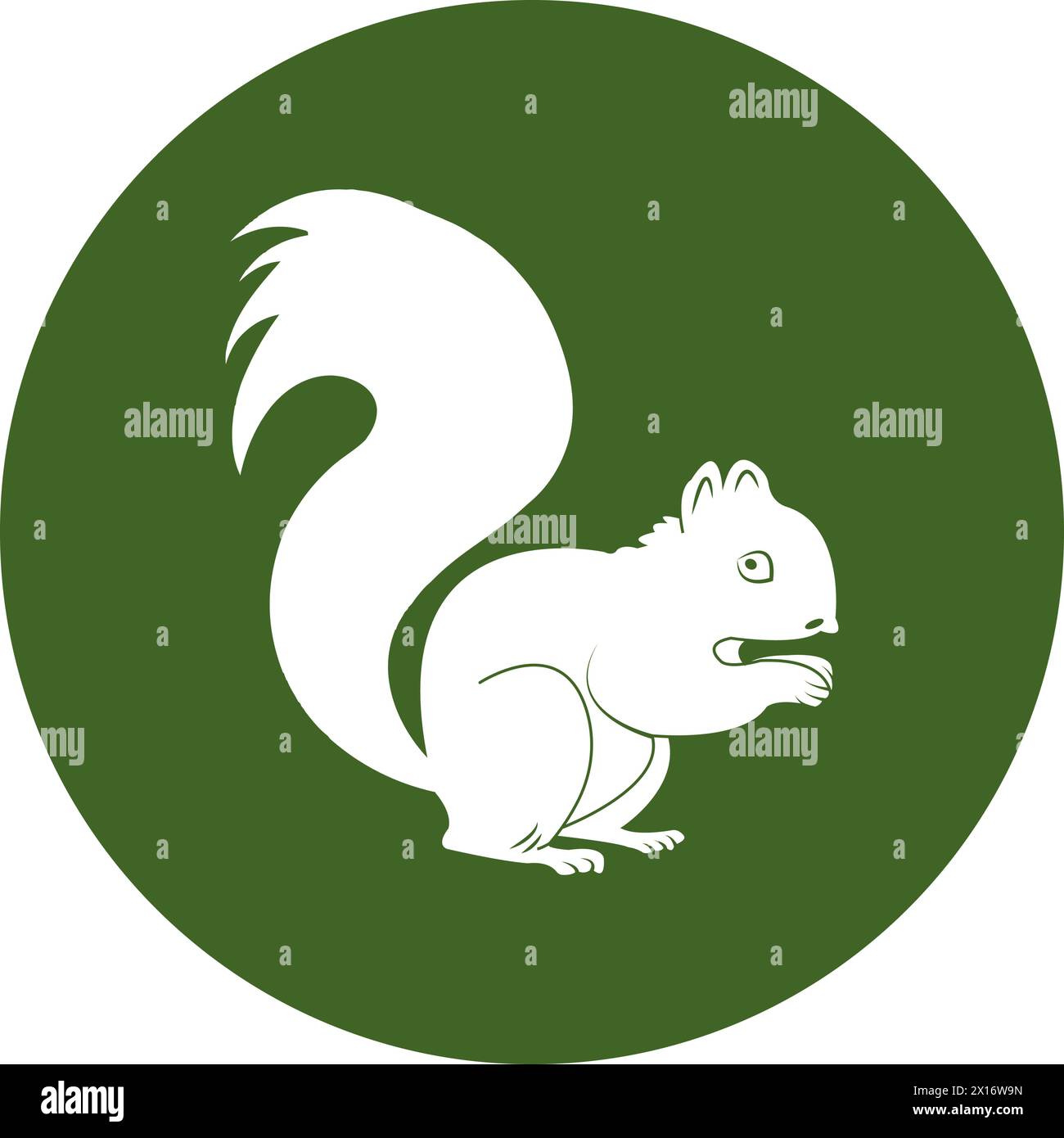 Pet squirrel illustrations hi-res stock photography and images - Alamy