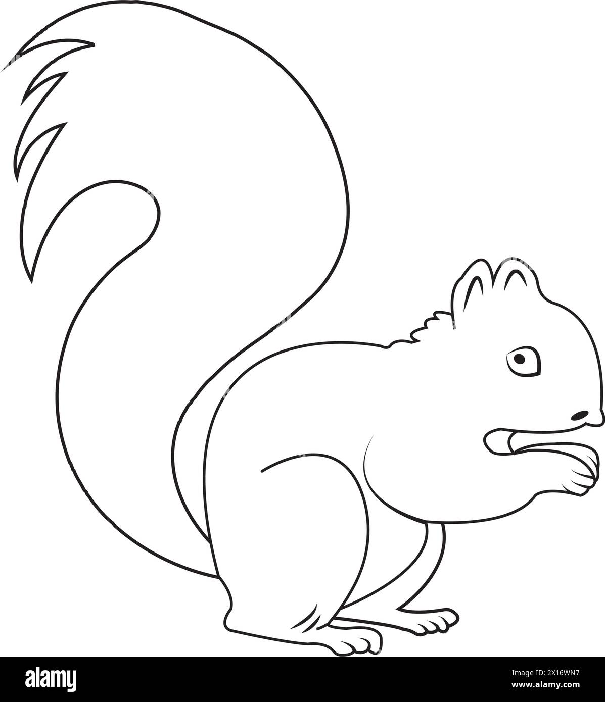 Pet squirrel illustrations hi-res stock photography and images - Alamy